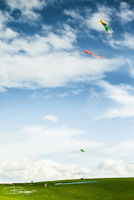 Rafael Bonatto;Mt Savage Kites